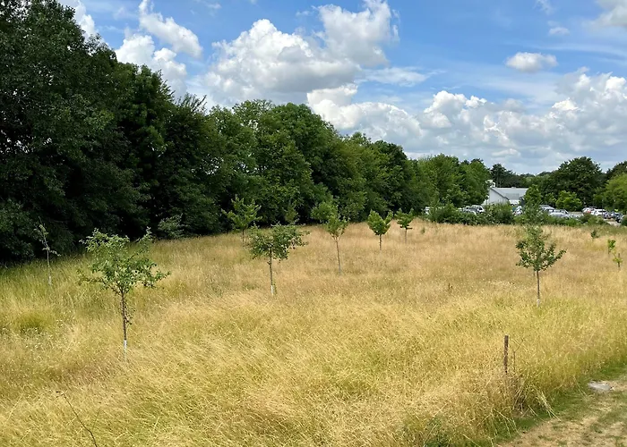 Kloster-quartier * Munique